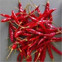 Red Chilli
