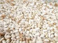 Safflower Seeds