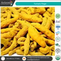 Turmeric Finger / Curcuma Longa