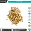 Coriander Seeds