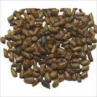 Cassia Tora Seeds