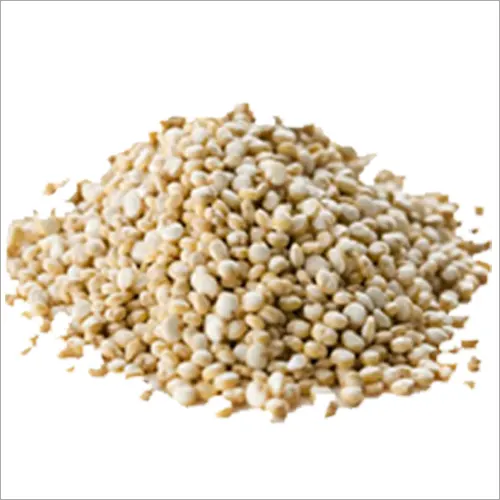 Quinoa Seeds
