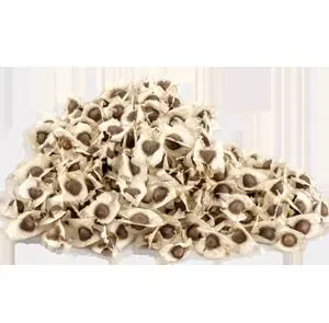 Moringa Seeds