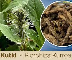 Natural Herbs