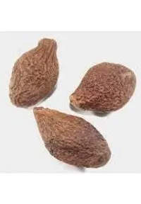 Sterculia Lychnophora / Malva Nuts