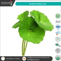 Centella Asiatica