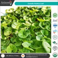 Centella Asiatica