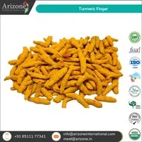 Turmeric Finger / Curcuma Longa