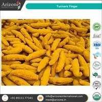 Turmeric Finger / Curcuma Longa