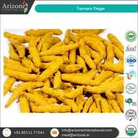 Turmeric Finger / Curcuma Longa