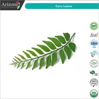 Curry Leaves
