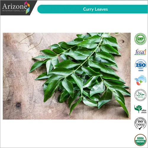 Curry Leaves