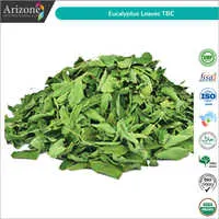 Eucalyptus Leaves Tea Bag Cut ( TBC )