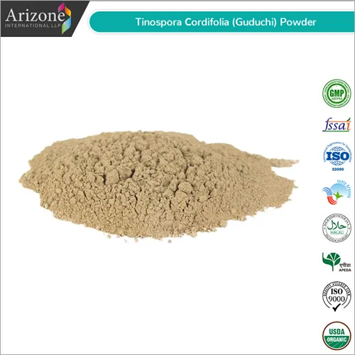 Giloy Powder / Tinospora cordifolia