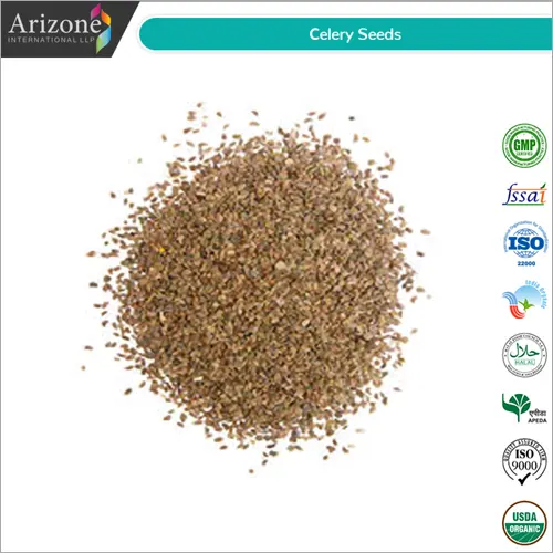 Celery Seeds / Apium graveolens