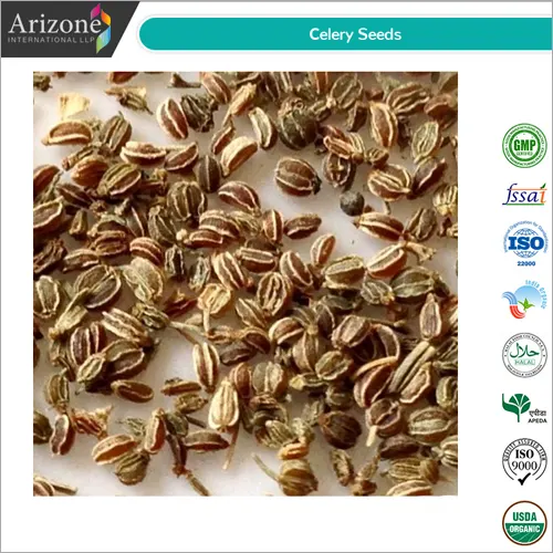 Celery Seeds / Apium graveolens