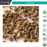 Celery Seeds / Apium graveolens