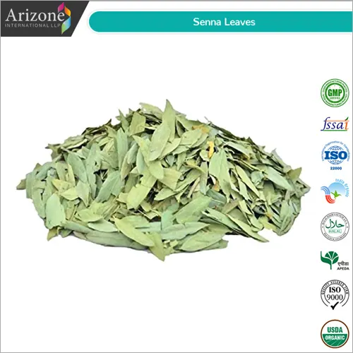 Senna Leaves / Cassia Angustifolia / Indian Senna
